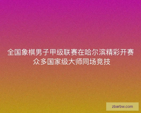 全国象棋男子甲级联赛在哈尔滨精彩开赛 众多国家级大师同场竞技